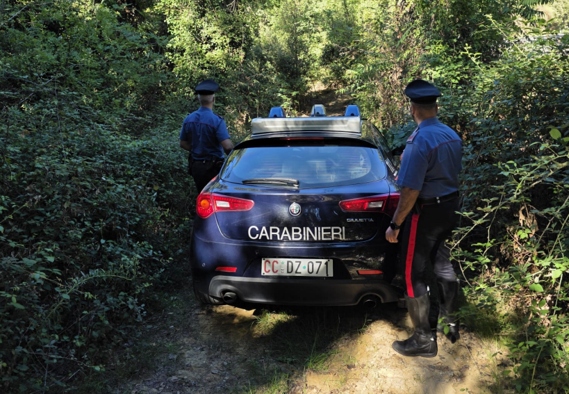 Poggibonsi, 19enne arrestato dai Carabinieri: sorpreso con cocaina, eroina e hashish
