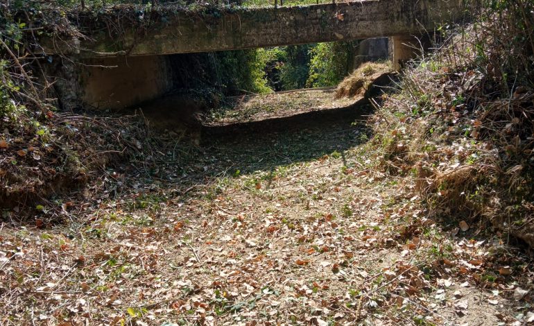 Consorzio di Bonifica 6 Toscana Sud, intervento di manutenzione lungo il torrente Querciola
