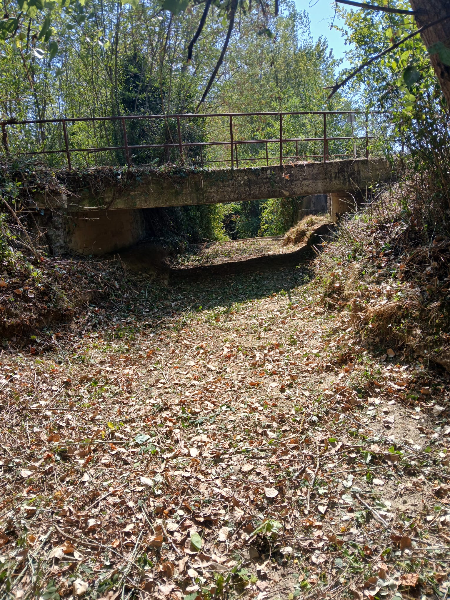 Consorzio di Bonifica 6 Toscana Sud, intervento di manutenzione lungo il torrente Querciola