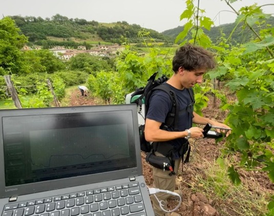 Flavescenza dorata, ricerca e innovazione in campo: nasce il progetto FD-STOP