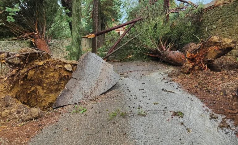 Forte maltempo, Sinalunga piange una vittima e conta i danni: il Comune pronto a chiedere lo stato di emergenza
