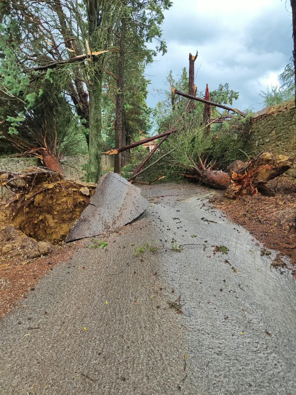 Forte maltempo, Sinalunga piange una vittima e conta i danni: il Comune pronto a chiedere lo stato di emergenza