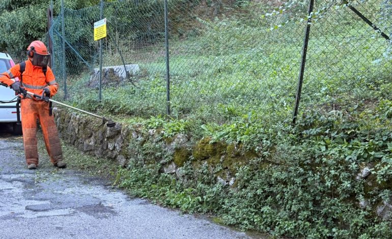 Aree verdi dello stadio “Artemio Franchi”, Comune al lavoro