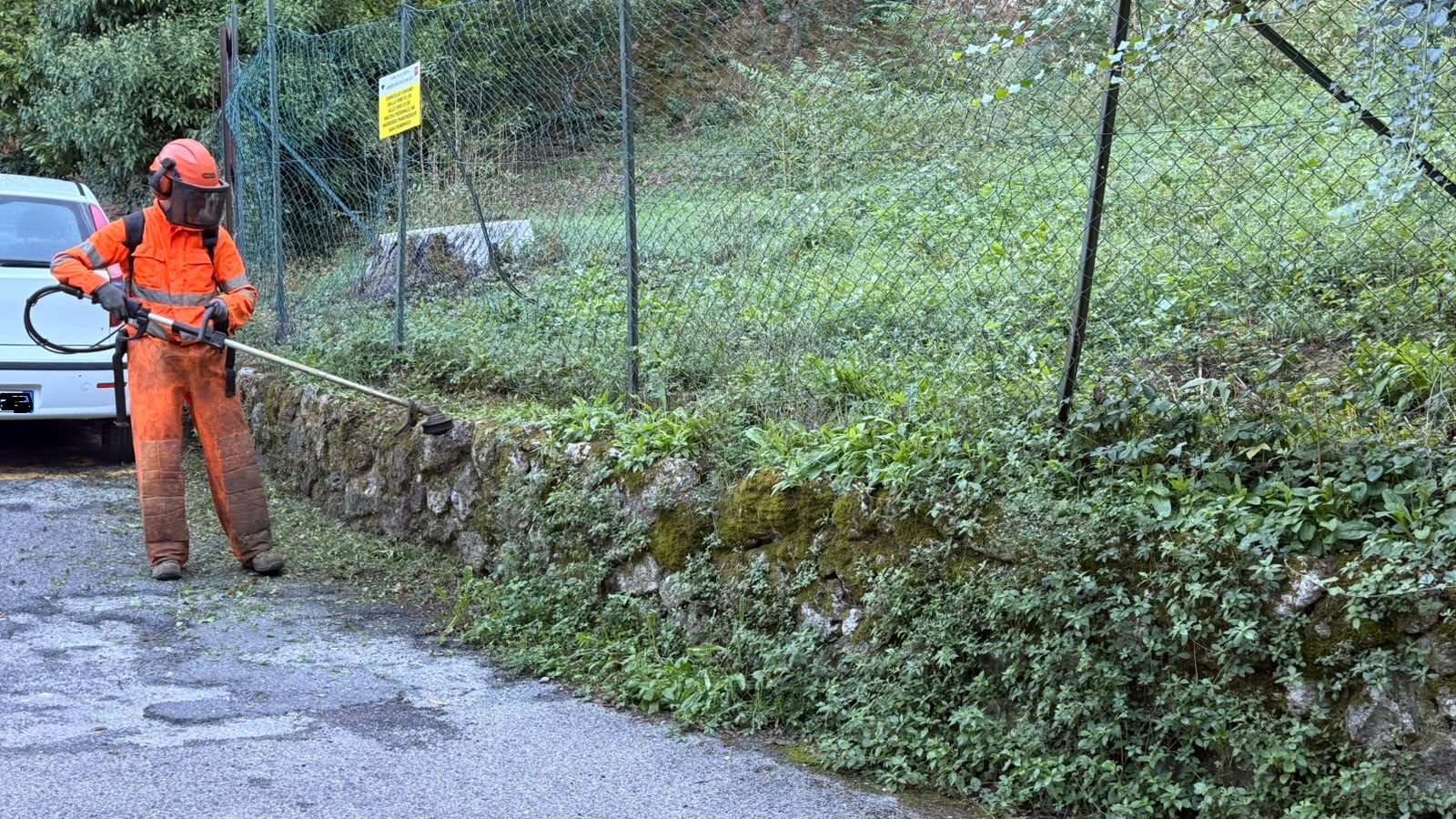Aree verdi dello stadio “Artemio Franchi”, Comune al lavoro