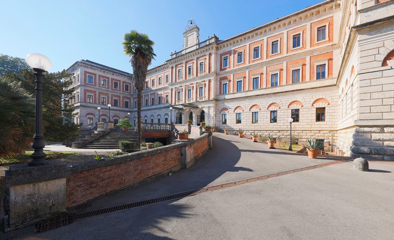 “Chi parla per le balene?”: a Siena la comunicazione tra umani e non umani diventa materia obbligatoria