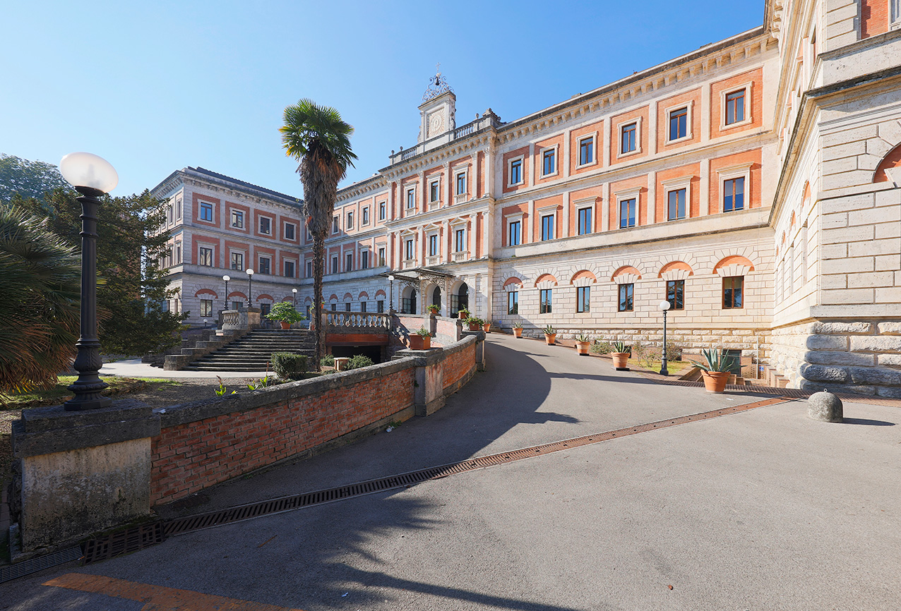 “Chi parla per le balene?”: a Siena la comunicazione tra umani e non umani diventa materia obbligatoria