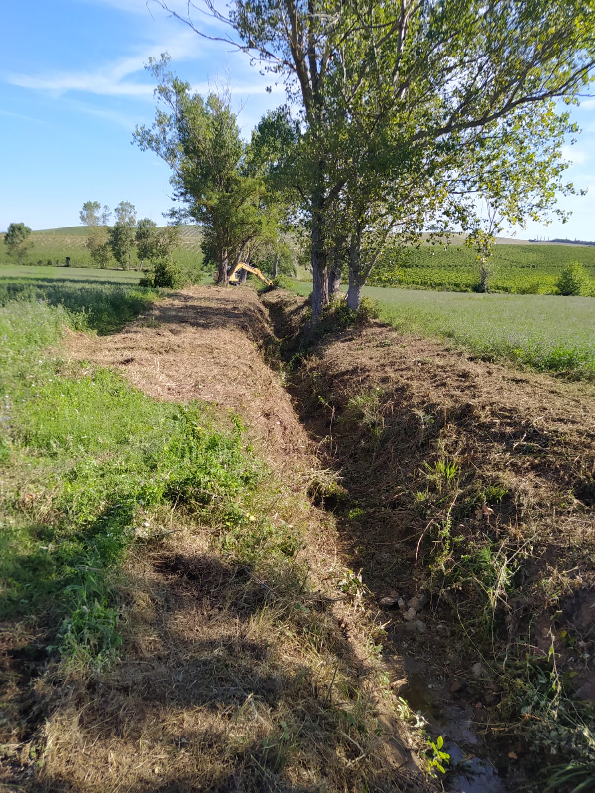 Intervento di manutenzione sul fosso Addobbi, nel territorio di Montalcino