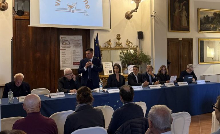 “Vino Insieme” guarda al futuro: un progetto culturale con basi solide